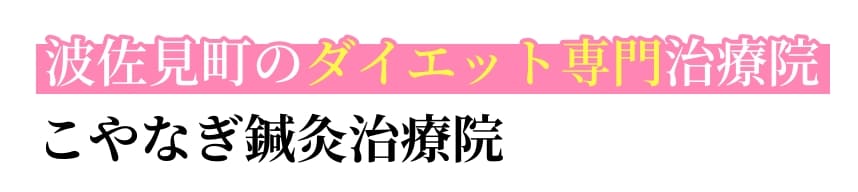長崎県波佐見町のダイエット専門治療院 こやなぎ鍼灸治療院